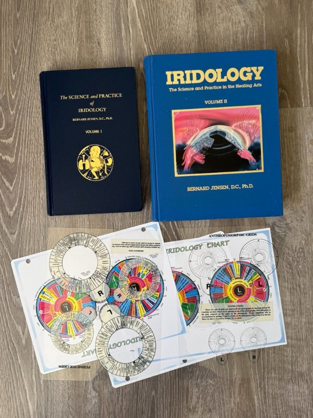 Bernard Jension Volumes I & II The Science and Practice of Iridiology